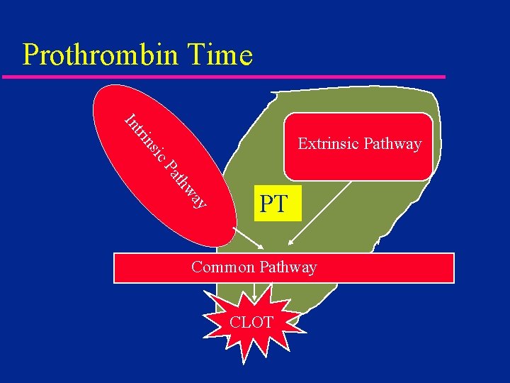 Prothrombin Time tri In ic ns Extrinsic Pathway ay thw Pa PT Common Pathway