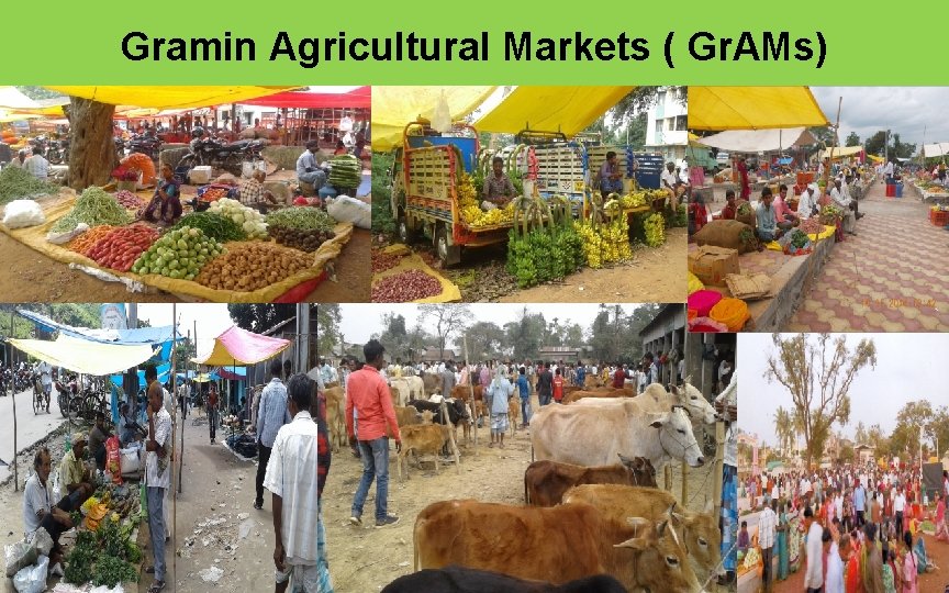 Gramin Agricultural Markets ( Gr. AMs) 