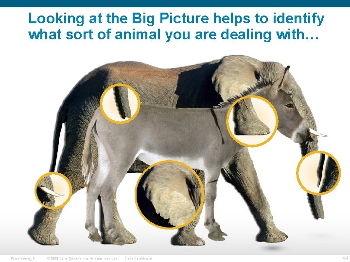 Looking at the Big Picture helps to identify what sort of animal you are