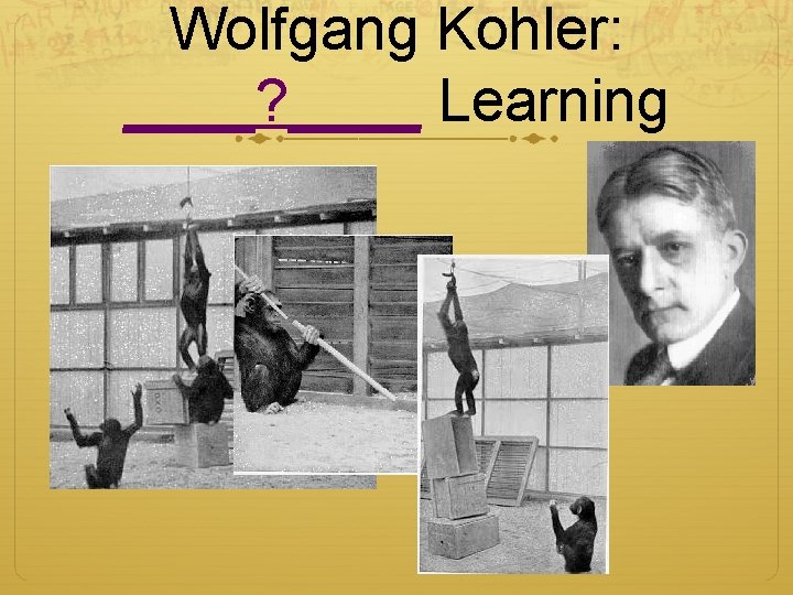 Wolfgang Kohler: ____? ____ Learning Wolfgang Kohler: ____? ____ Learning