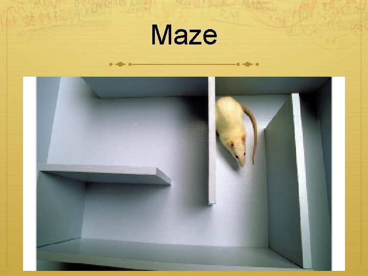 Maze Maze