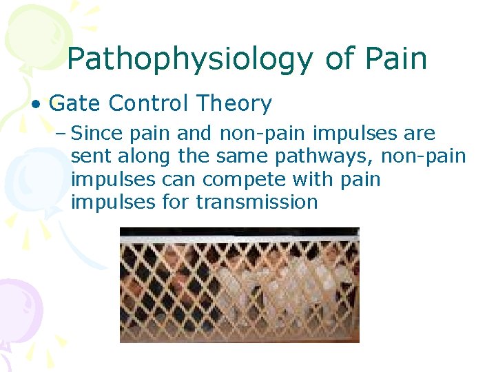 Pathophysiology of Pain • Gate Control Theory – Since pain and non-pain impulses are