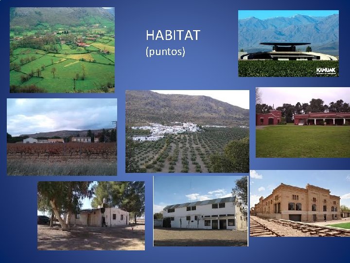 Unidad 4 Los espacios rurales El paisaje rural