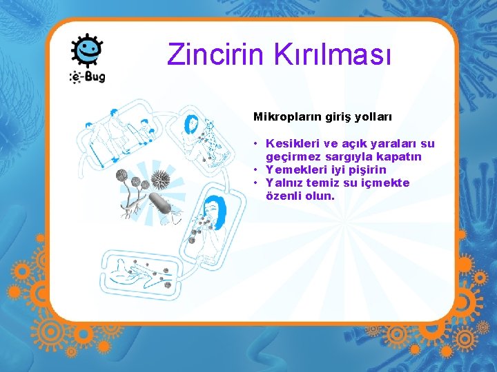 Zincirin Kırılması Mikropların giriş yolları • Kesikleri ve açık yaraları su geçirmez sargıyla kapatın