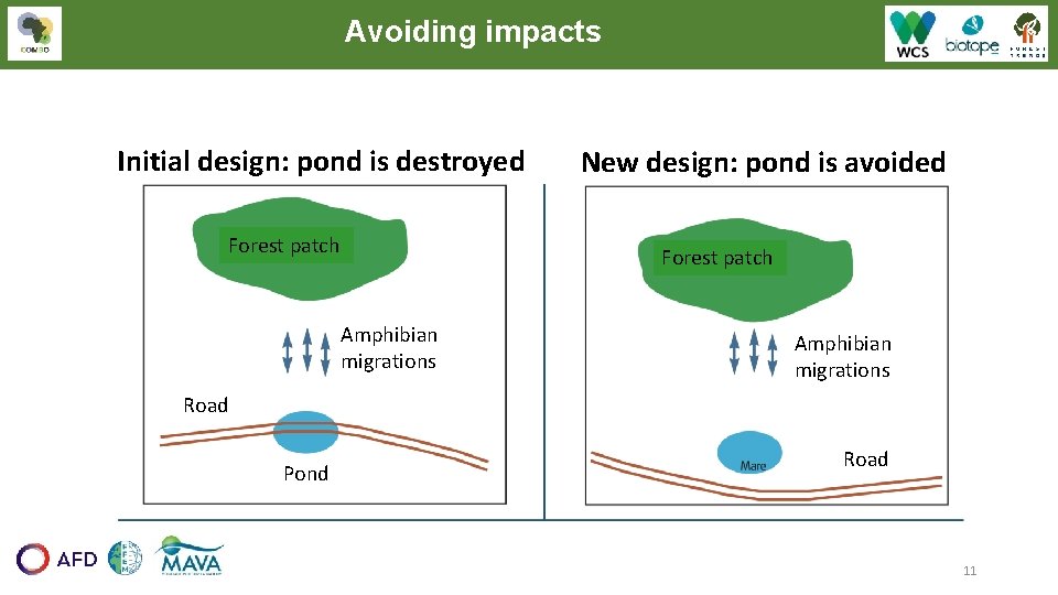Avoiding impacts Initial design: pond is destroyed Forest patch New design: pond is avoided Avoiding impacts Initial design: pond is destroyed Forest patch New design: pond is avoided