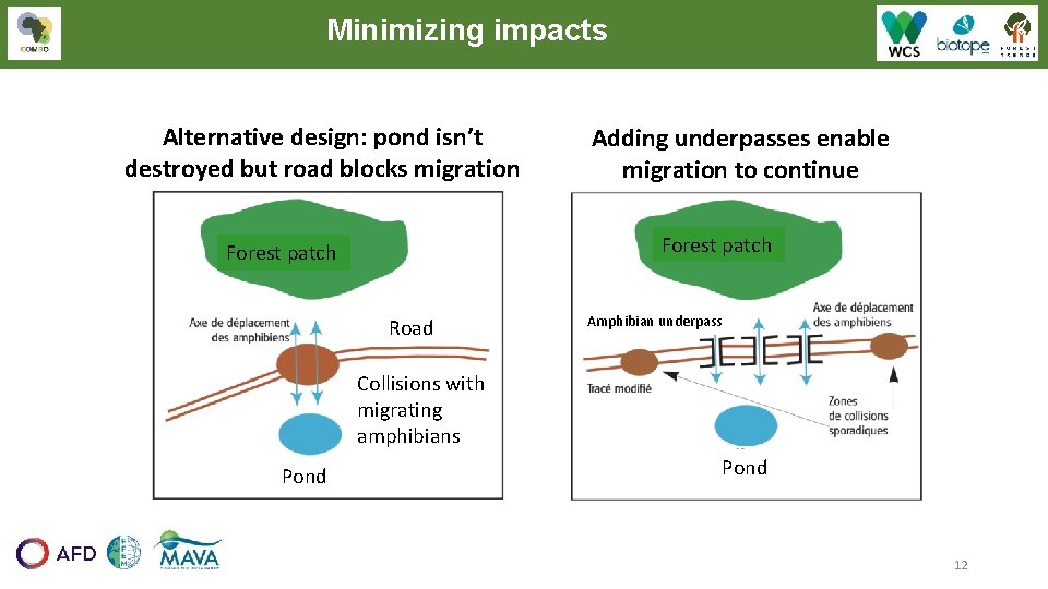 Minimizing impacts Alternative design: pond isn’t destroyed but road blocks migration Adding underpasses enable Minimizing impacts Alternative design: pond isn’t destroyed but road blocks migration Adding underpasses enable