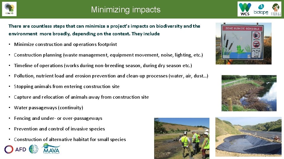 Minimizing impacts There are countless steps that can minimize a project’s impacts on biodiversity Minimizing impacts There are countless steps that can minimize a project’s impacts on biodiversity
