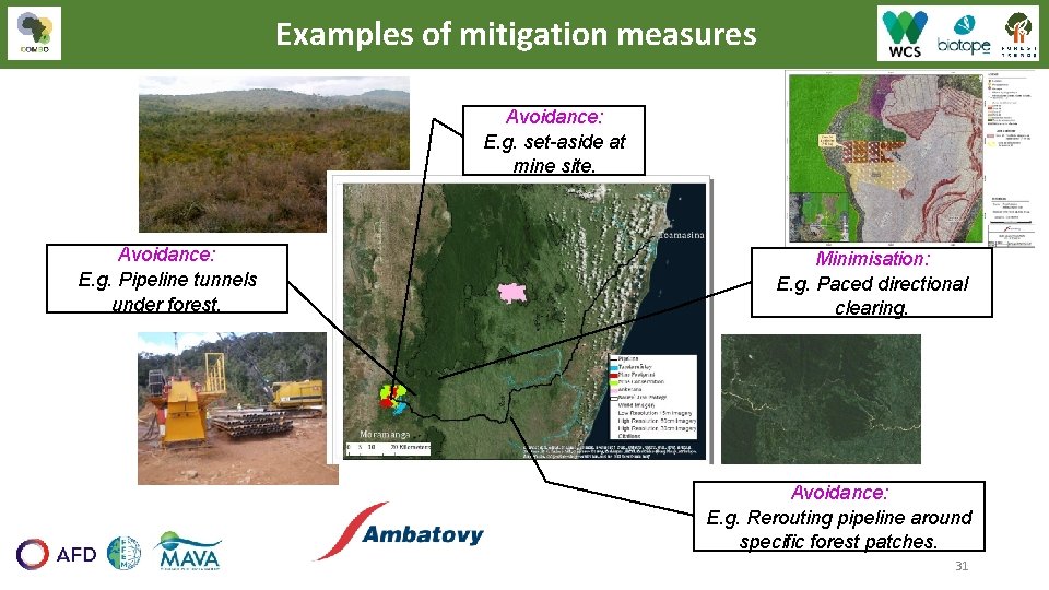 Examples of mitigation measures Avoidance: E. g. set-aside at mine site. Avoidance: E. g. Examples of mitigation measures Avoidance: E. g. set-aside at mine site. Avoidance: E. g.