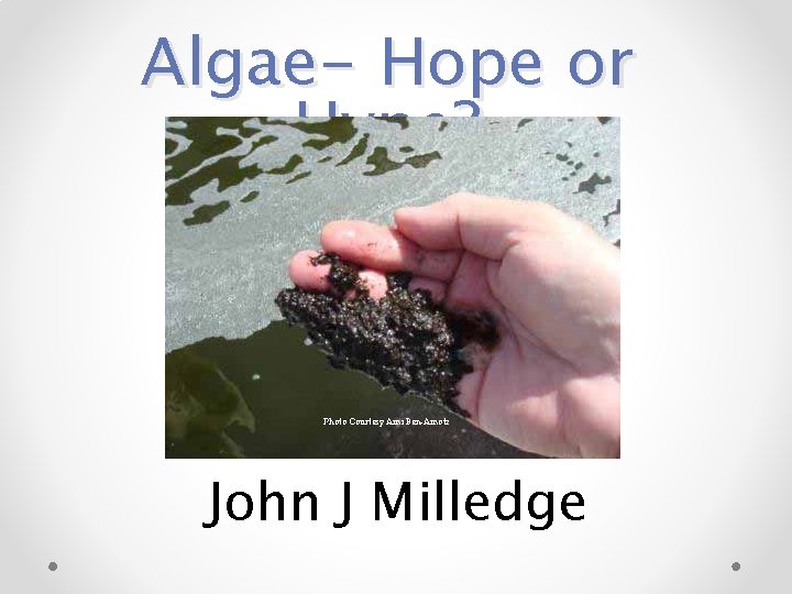 Algae- Hope or Hype? Photo Courtesy Ami Ben‑Amotz John J Milledge 