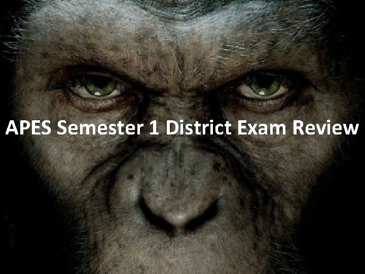 APES Semester 1 District Exam Review 