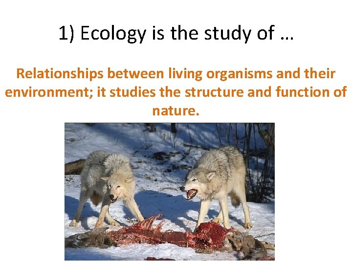1) Ecology is the study of … Relationships between living organisms and their environment;