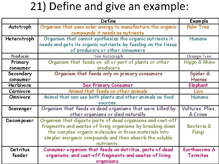 21) Define and give an example: Autotroph Heterotroph Producer Primary consumer Secondary consumer Herbivore