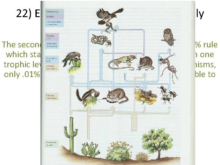 22) Explain why food chains are rarely longer than 5 organisms. The second law