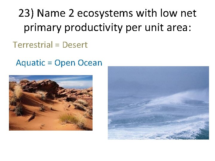 23) Name 2 ecosystems with low net primary productivity per unit area: Terrestrial =