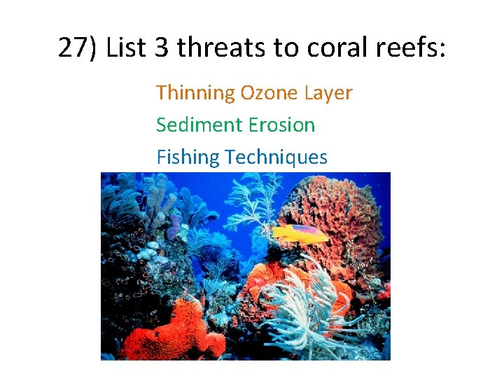 27) List 3 threats to coral reefs: Thinning Ozone Layer Sediment Erosion Fishing Techniques