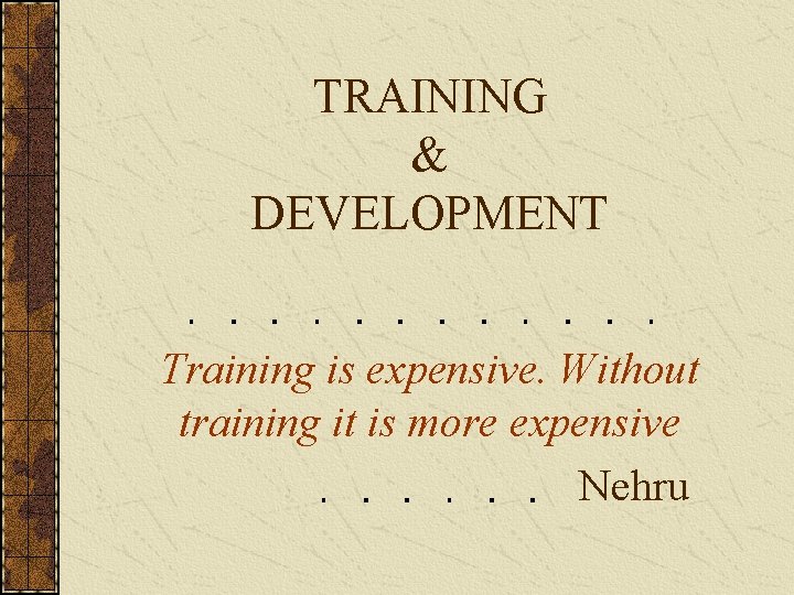 TRAINING & DEVELOPMENT Training is expensive. Without training it is more expensive Nehru 