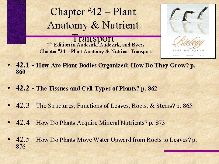 Chapter #42 – Plant Anatomy & Nutrient Transport 7 Edition in Audesirk, and Byers