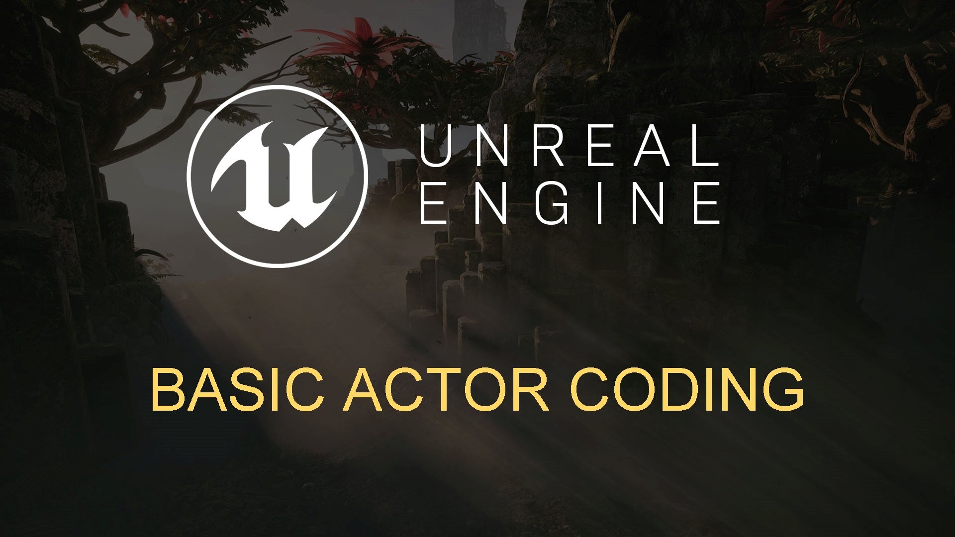 BASIC ACTOR CODING 