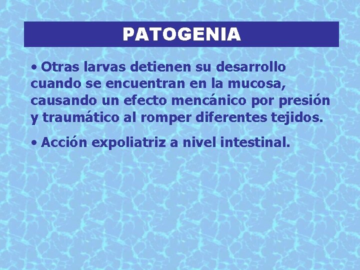 PATOGENIA • Otras larvas detienen su desarrollo cuando se encuentran en la mucosa, causando