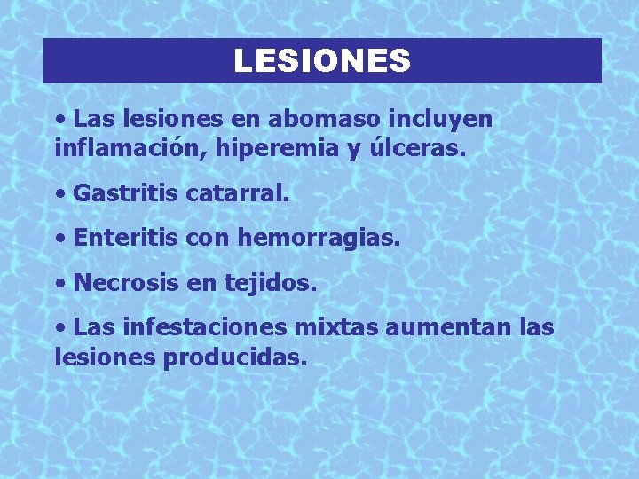 LESIONES • Las lesiones en abomaso incluyen inflamación, hiperemia y úlceras. • Gastritis catarral.