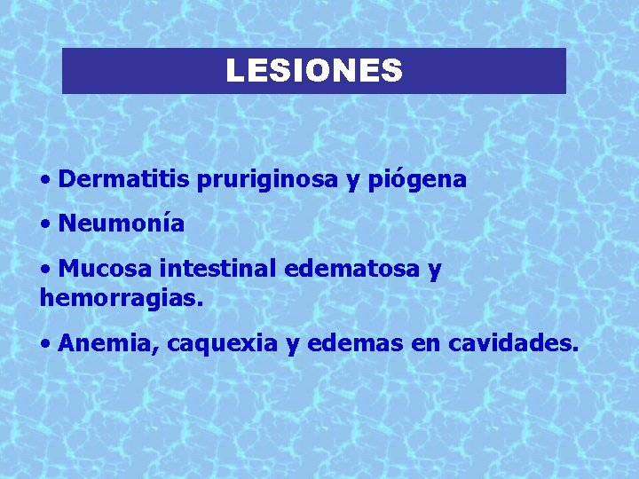 LESIONES • Dermatitis pruriginosa y piógena • Neumonía • Mucosa intestinal edematosa y hemorragias.