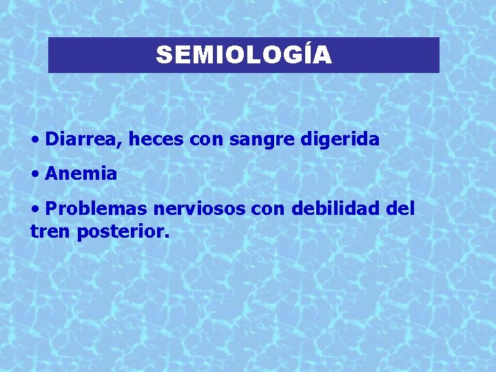 SEMIOLOGÍA • Diarrea, heces con sangre digerida • Anemia • Problemas nerviosos con debilidad