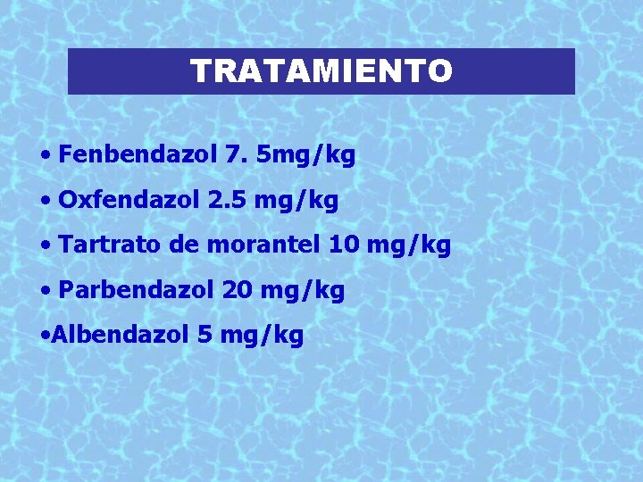 TRATAMIENTO • Fenbendazol 7. 5 mg/kg • Oxfendazol 2. 5 mg/kg • Tartrato de