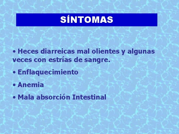 SÍNTOMAS • Heces diarreicas mal olientes y algunas veces con estrías de sangre. •