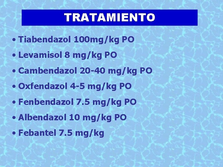 TRATAMIENTO • Tiabendazol 100 mg/kg PO • Levamisol 8 mg/kg PO • Cambendazol 20