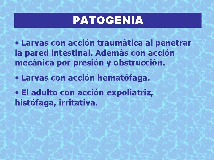 PATOGENIA • Larvas con acción traumática al penetrar la pared intestinal. Además con acción
