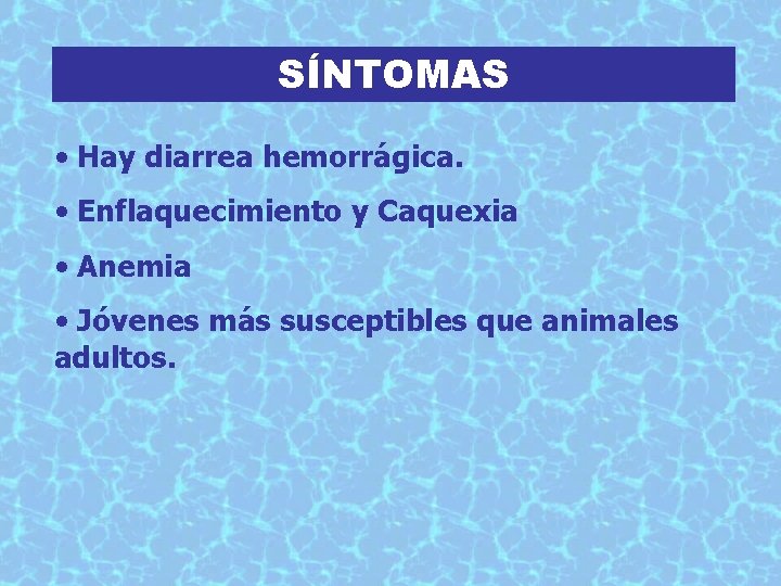 SÍNTOMAS • Hay diarrea hemorrágica. • Enflaquecimiento y Caquexia • Anemia • Jóvenes más