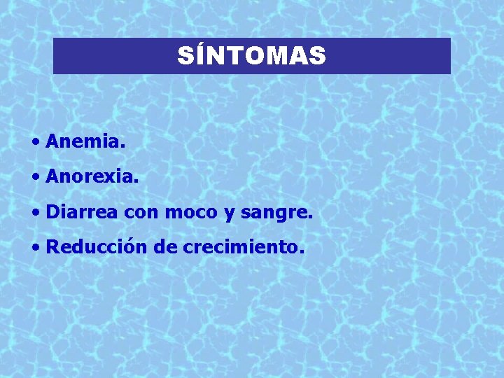 SÍNTOMAS • Anemia. • Anorexia. • Diarrea con moco y sangre. • Reducción de