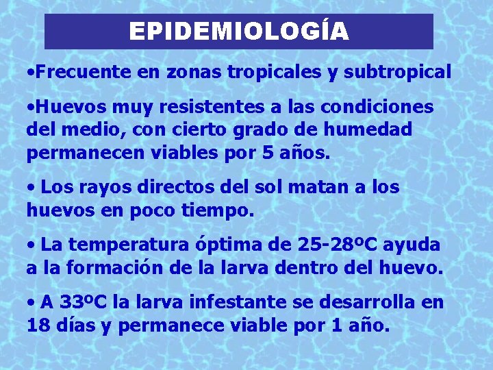 EPIDEMIOLOGÍA • Frecuente en zonas tropicales y subtropical • Huevos muy resistentes a las