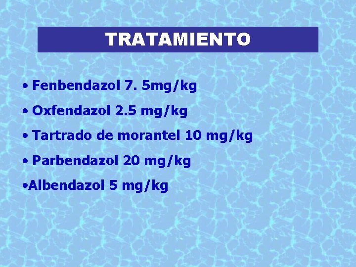 TRATAMIENTO • Fenbendazol 7. 5 mg/kg • Oxfendazol 2. 5 mg/kg • Tartrado de