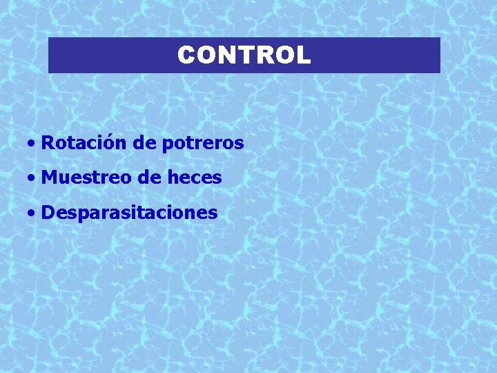 CONTROL • Rotación de potreros • Muestreo de heces • Desparasitaciones 