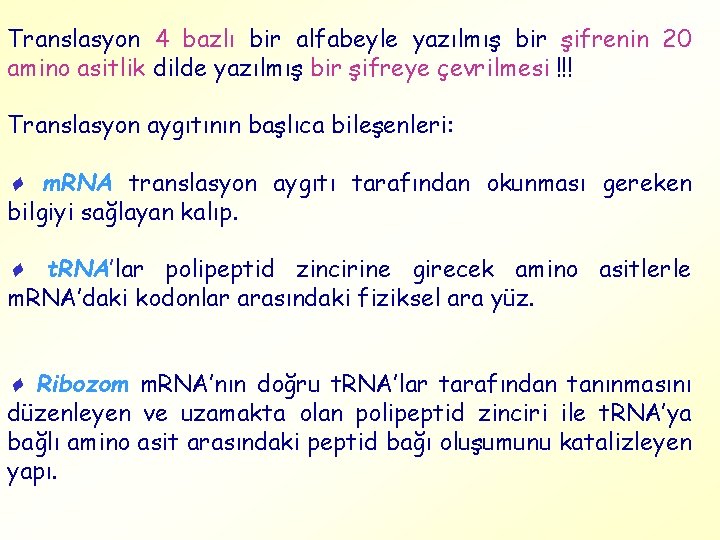 Translasyon 4 bazlı bir alfabeyle yazılmış bir şifrenin 20 amino asitlik dilde yazılmış bir