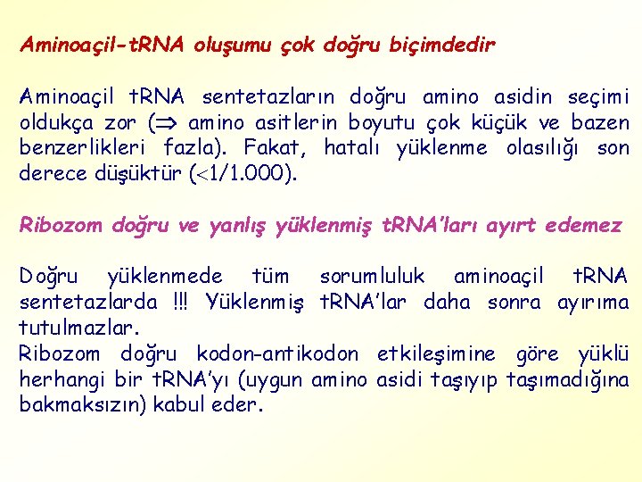 Aminoaçil-t. RNA oluşumu çok doğru biçimdedir Aminoaçil t. RNA sentetazların doğru amino asidin seçimi