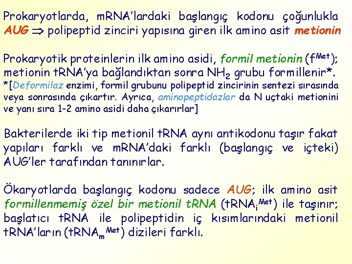 Prokaryotlarda, m. RNA’lardaki başlangıç kodonu çoğunlukla AUG polipeptid zinciri yapısına giren ilk amino asit