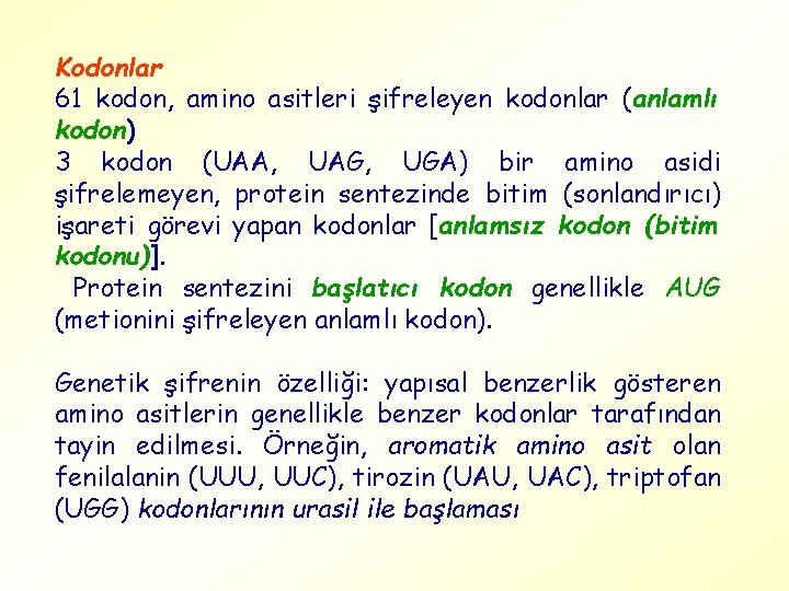 Kodonlar 61 kodon, amino asitleri şifreleyen kodonlar (anlamlı kodon) 3 kodon (UAA, UAG, UGA)