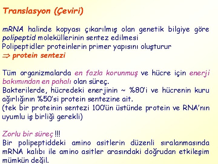 Translasyon (Çeviri) m. RNA halinde kopyası çıkarılmış olan genetik bilgiye göre polipeptid moleküllerinin sentez