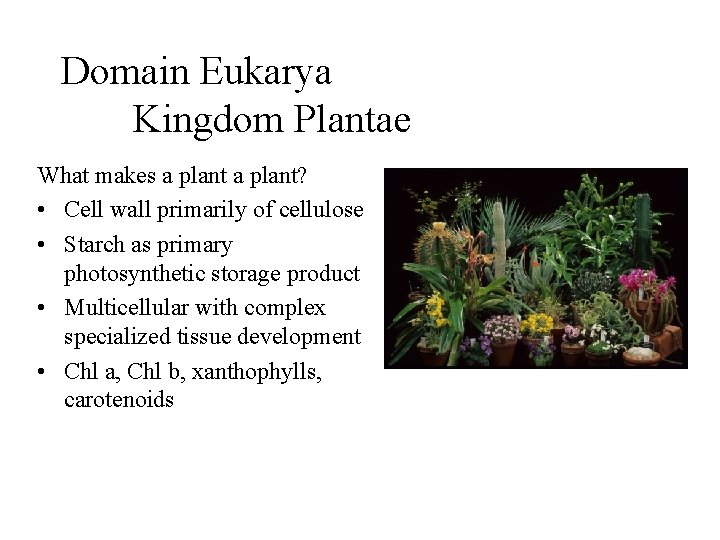 Domain Eukarya Kingdom Plantae What makes a plant? • Cell wall primarily of cellulose
