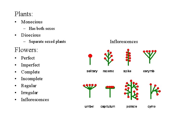 Plants: • Monecious – Has both sexes • Dioecious – Separate sexed plants Flowers: