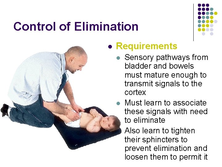 Control of Elimination l Requirements l l l Sensory pathways from bladder and bowels
