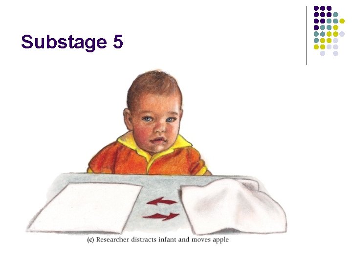 Substage 5 