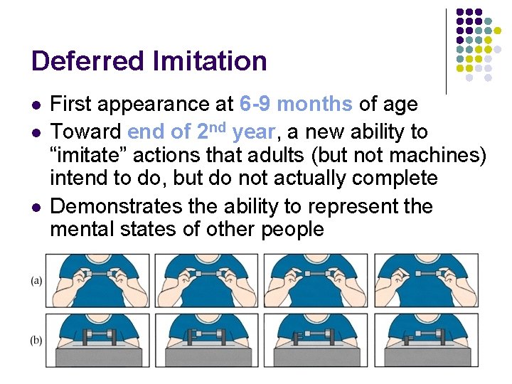 Deferred Imitation l l l First appearance at 6 -9 months of age Toward