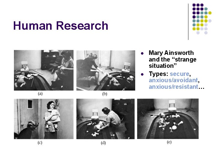Human Research l l Mary Ainsworth and the “strange situation” Types: secure, anxious/avoidant, anxious/resistant…