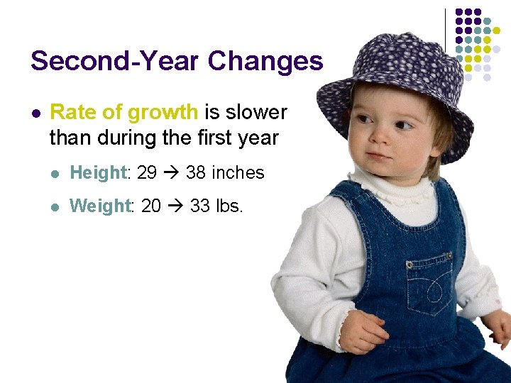Second-Year Changes l Rate of growth is slower than during the first year l