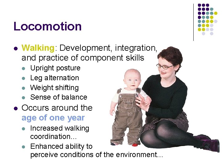 Locomotion l Walking: Development, integration, and practice of component skills l l l Upright