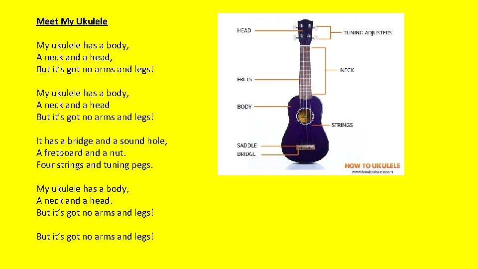 Meet My Ukulele My ukulele has a body, A neck and a head, But