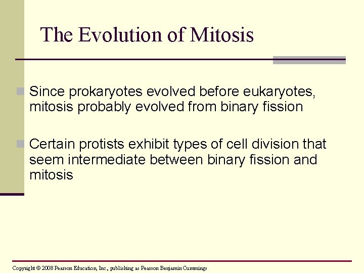 The Evolution of Mitosis n Since prokaryotes evolved before eukaryotes, mitosis probably evolved from
